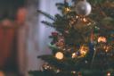 There are several ways to recycle your Christmas tree in Somerset once the festive period is over.