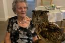Visit by birds of prey to Homestead care home