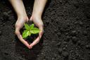 SOIL: Hands connecting with the soil to boost the immune system. Picture: Thinkstock/PA