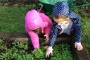 Children working in their school garden in Somerset. Image Credits: Somerset Gardens