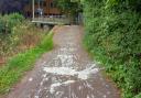SPLAT!: The paint-covered walkway in Taunton