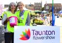 Taunton Flower Show stewards at last year's smaller event at Castle Green. Picture: Steve Richardson
