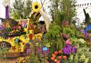 Taunton Flower Show will return to Vivary Park on August 5 and 6. Picture: Michael Eardley, Somerset Camera Club