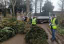 St Margaret's Hospice volunteers collect Christmas trees.