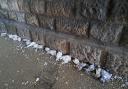 The dead pigeons lined up under the bridge. Picture: County Gazette