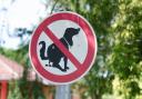 A Somerset town council is urging locals to pick up after their dogs.