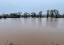 Flooding caused by the River Sheppey bursting its banks between Glastonbury and Wells.