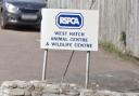 The RSPCA is appealing for information after a dog was sexually abused and left to die in Frome.