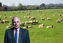 Sheep grazing in a field in Somerset. Inset: Ian Liddell-Grainger, MP.