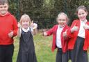 Tintinhull Primary is one of just 25 schools across England to be honoured with the Let’s Go Zero Award