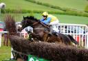Weather no object for Devon & Somerset Point to Point race day