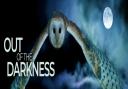 Out of the Darkness begins later this week and will run on select days through towards the end of April