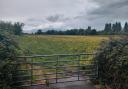 Planned site of 90 homes on Lowerside Lane in Glastonbury