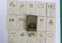 BOTANY: A collection of fifty-two cards explaining about botany, which sold for £500