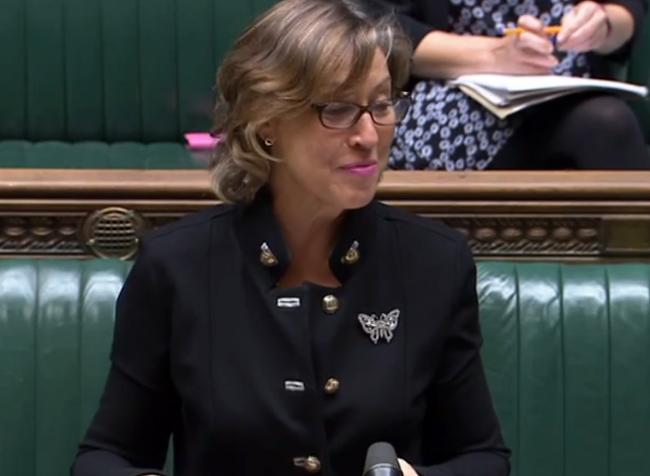 DEBATE: Environment Minister and Taunton Deane MP Rebecca Pow at the Despatch Box during the debate over the Environment Bill. PICTURE: Parliament TV