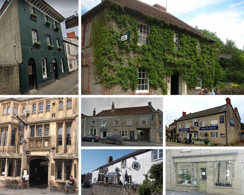 Good Beer Guide: See the Mendip pubs that made the list 