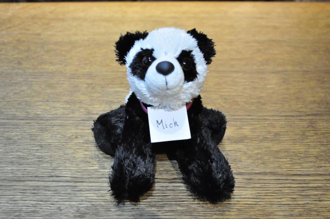 WINNER: Panda Mick, who scooped the Turnip Prize. Image: Turnip Prize