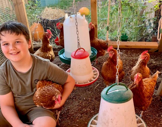 ANIMAL LOVER: Ethan, 10, completed a university course to prove his parents he could look after the rescued chickens