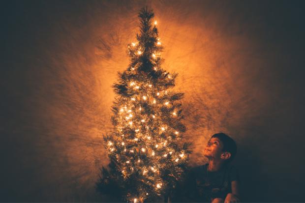 Somerset County Gazette: A child looking up at a decorated Christmas tree. Credit: Canva