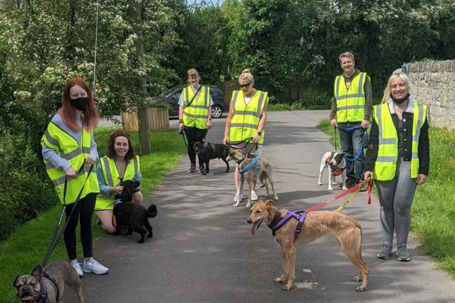 DONATION: Volunteers help walk dogs adopted by St Giles Animal Rescue