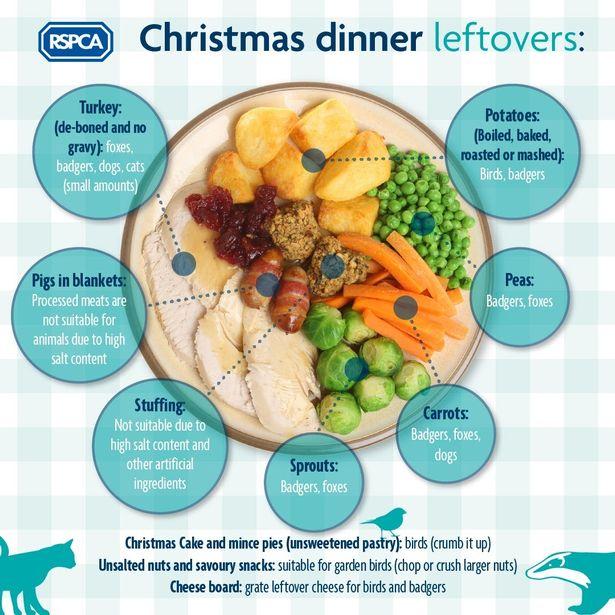 Somerset County Gazette: Some Christmas dinner leftovers can be hazardous to pets. Picture: RSPCA