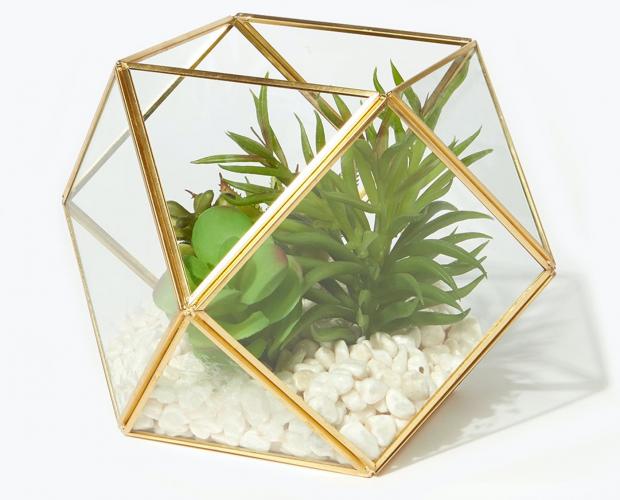 Somerset County Gazette: Succulents in Hexagonal Planter is available via Matalan. Picture: Matalan