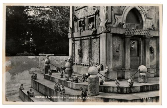 Somerset County Gazette: The Monkey Temple at Bristol Zoo Gardens in Clifton. Picture: PA Somerset County Gazette: The Monkey Temple at Bristol Zoo Gardens in Clifton. Picture: PA