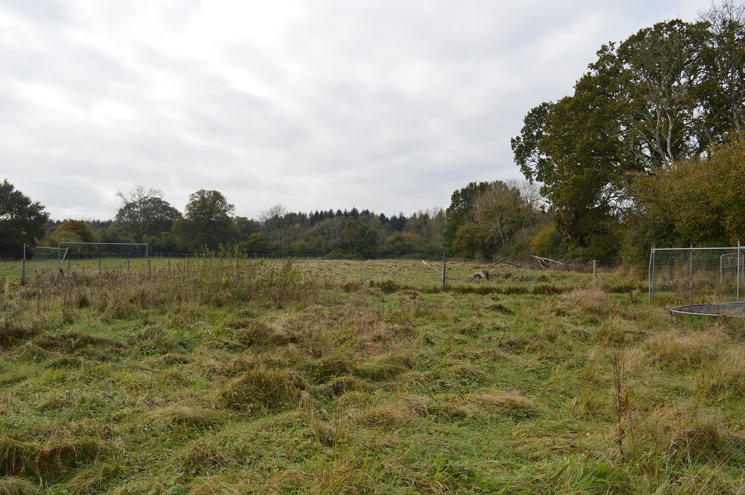 Plot of land sells at auction for near double guide price | Somerset County Gazette - Vimarsana News