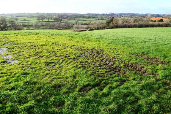 Somerset County Gazette: Residents in Chard have started a petition against the plans for Chard Junction Quarry expansion. Picture: Steve Richardson Somerset County Gazette: Residents in Chard have started a petition against the plans for Chard Junction Quarry expansion. Picture: Steve Richardson