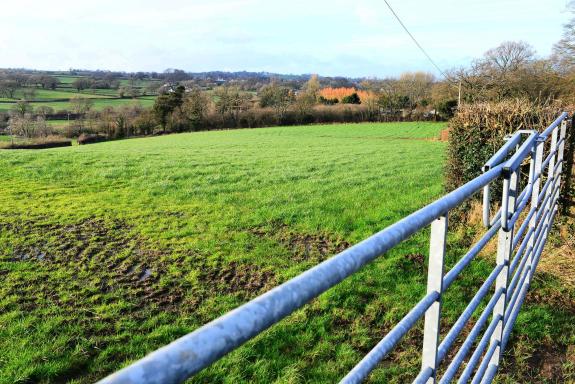 Somerset County Gazette: Site of the proposed quarry expansion. Picture: Steve Richardson Somerset County Gazette: Site of the proposed quarry expansion. Picture: Steve Richardson