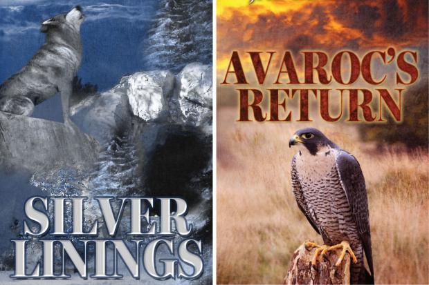 Somerset County Gazette: Silver Linings and Avaroc's Return are the first and fourth novels in Jae Malone's Winterne Series. Pictures: Jae Malone 