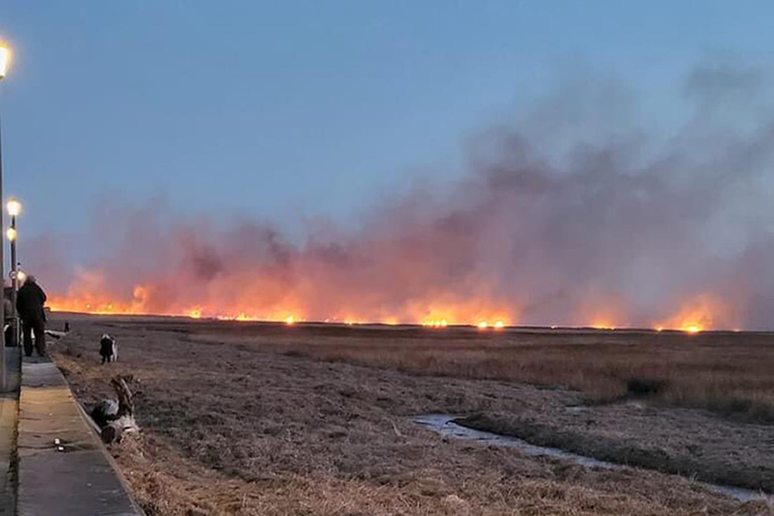 Marshland blaze at RSPB reserve extinguished - Vimarsana News