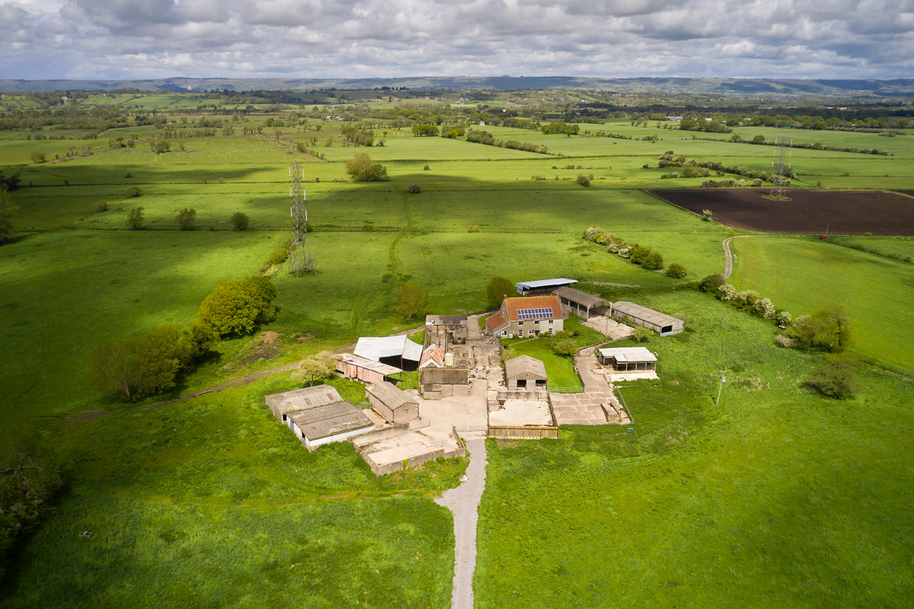 Somerset Wildlife Trust launches Honeygar Appeal for wilding project - Vimarsana News