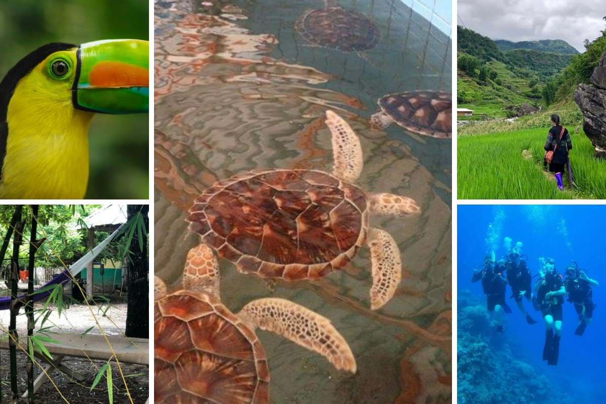 Earth Day 2022: the sustainable travel experiences you need to try from Tripadvisor - Vimarsana News