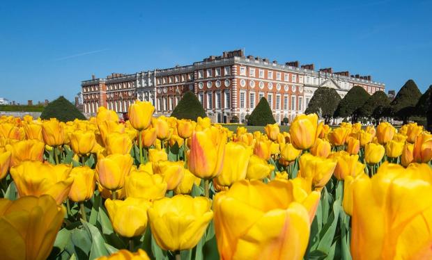 Somerset County Gazette: Hampton Court Palace is located in south west London. Picture: PA