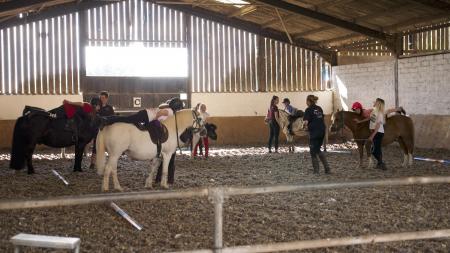 Flying Start Riding in equestrian awards finals | Somerset County Gazette - Vimarsana News