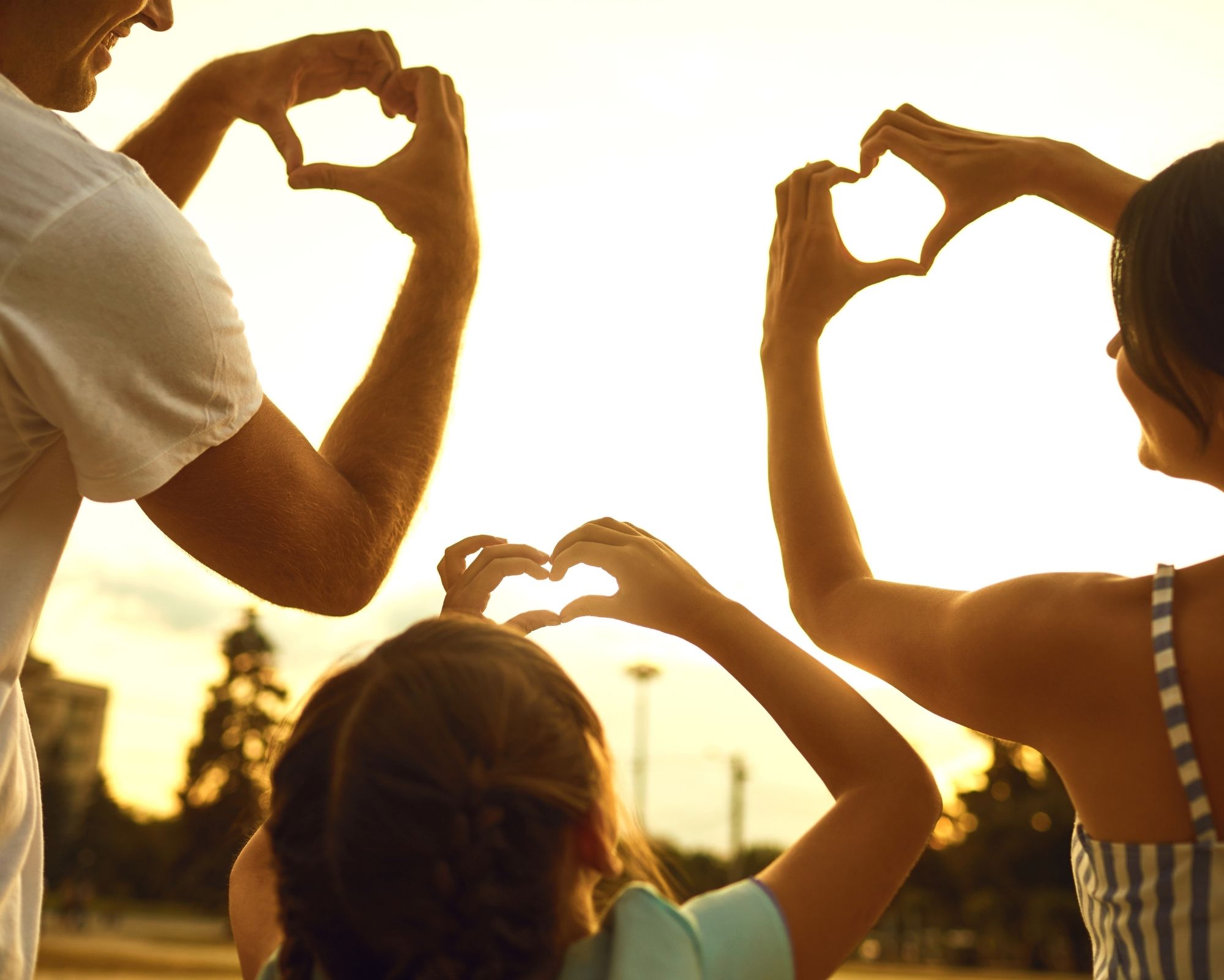 Best family days out in Taunton according to Tripadvisor reviews - Vimarsana News