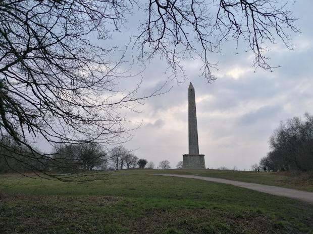 Somerset County Gazette: Wellington Monument will be one of several Somerset National Trust landmarks to host beacon-lighting ceremonies. Picture: Tom Leaman