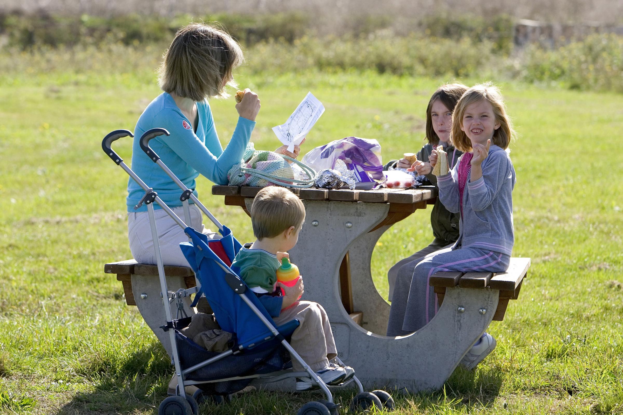 Big Picnic at Ham Wall Nature Reserve for the Jubilee | Somerset County Gazette - Vimarsana News