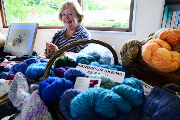 Somerset County Gazette: Lindsay Shaw from Lindsay's Homespun Yarns raised money for cancer charities at the fair.