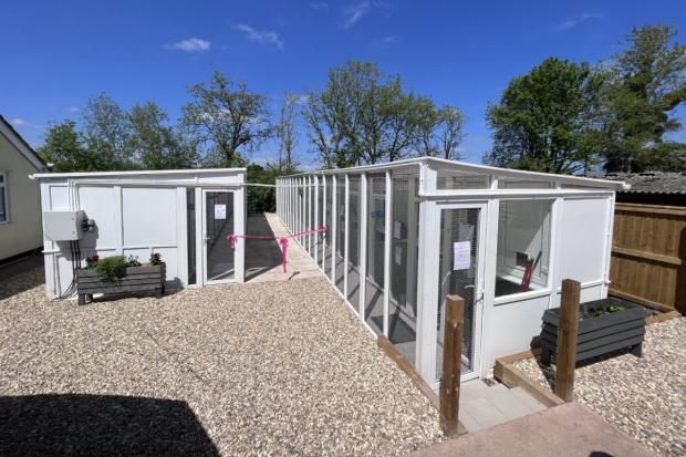 Somerset County Gazette: The new cattery contains 10 rescue pens and 10 boarding pens. Picture: St Giles Animal Rescue