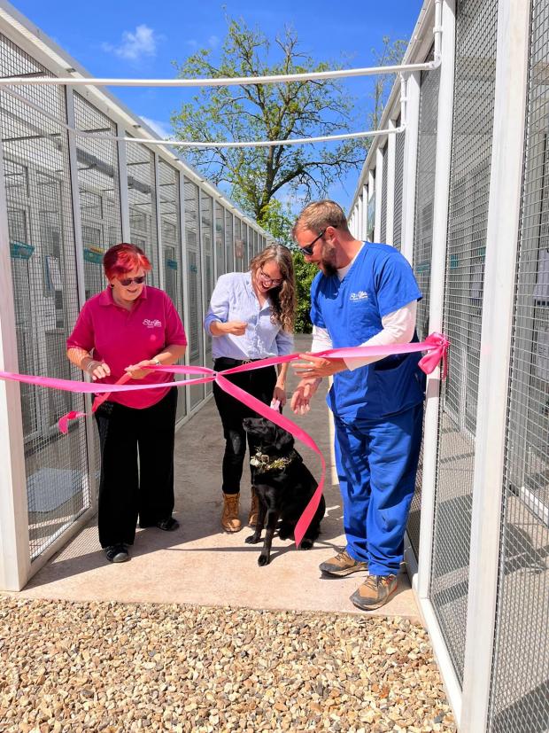 Somerset County Gazette: The official opening of the new cattery was blessed with excellent weather. Picture: St Giles Animal Rescue