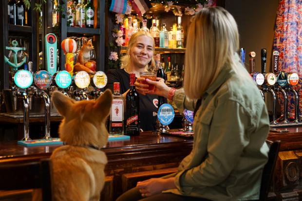 Somerset County Gazette: Take a Corgi for a free 'Queen's Tipple' over the Platinum Jubilee weekend. Picture: Greene King