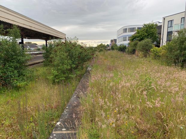 Somerset County Gazette: The proposed site for the community garden at Taunton Station. Pictures: Newsquest