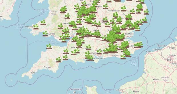 Somerset County Gazette: WhatShed's interactive map shows dozens of spots in the south of England where Giant Hogweed has been spotted. Picture: WhatShed