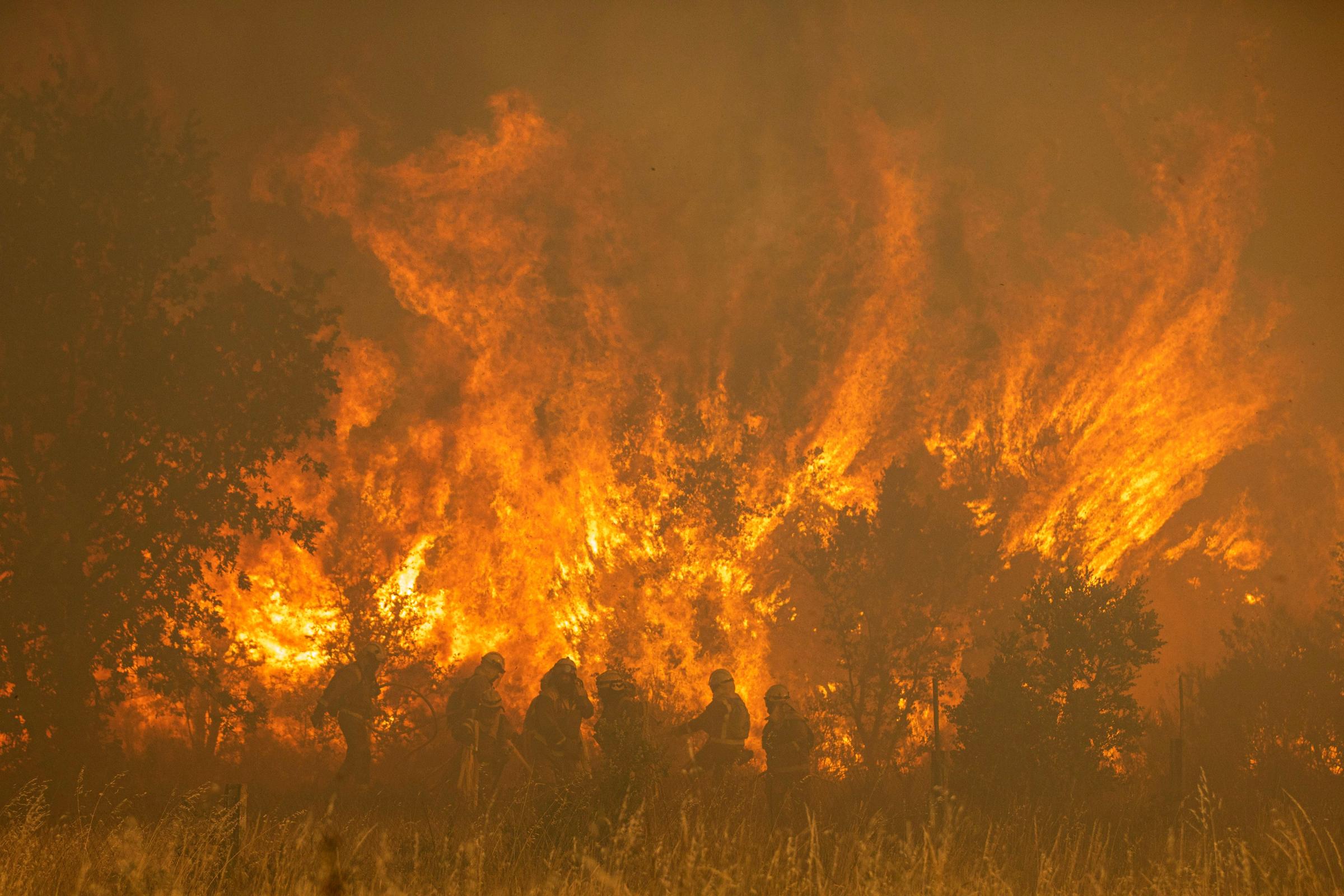 Firefighters battle wildfires as Europe is hit by heatwave - Vimarsana News