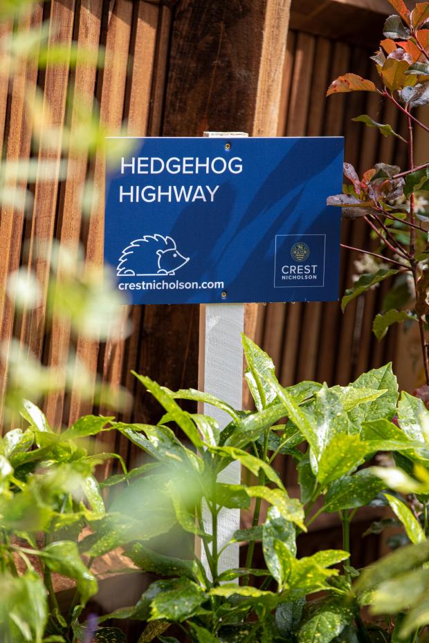 Somerset County Gazette: The hedgehog highways will encourage the nocturnal creatures to roam freely away from the dangers of the road. Picture: Crest Nicholson