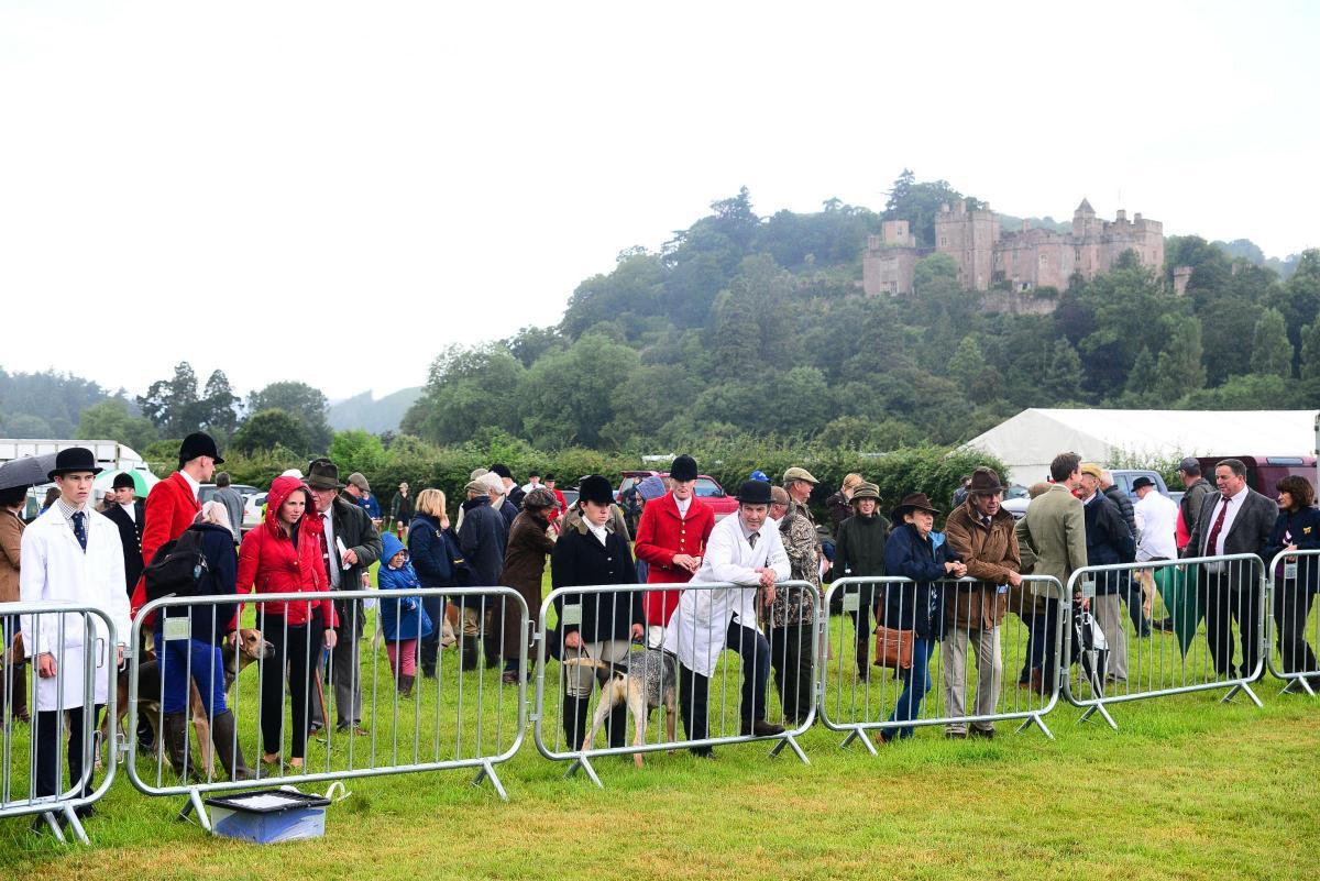 The 174th Dunster Show takes place next week | Somerset County Gazette - Vimarsana News