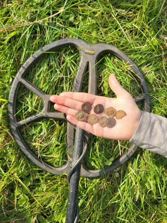 Somerset County Gazette: The hoard of coins. Somerset County Gazette: The hoard of coins.