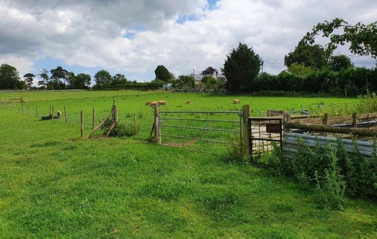 Locals voice concern over new homes plan on Sub Road in Butleigh 